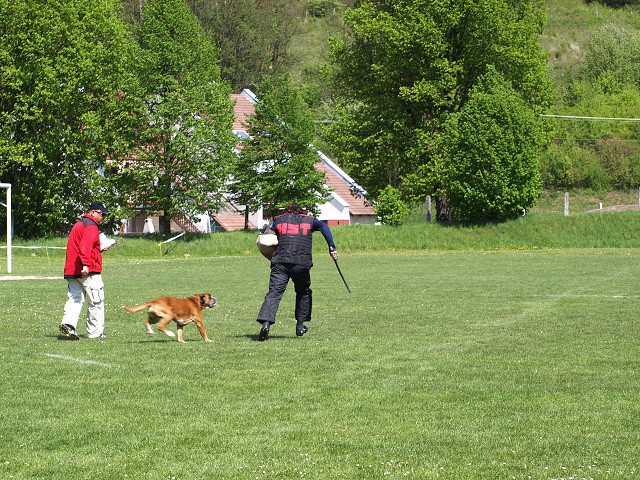 www.atibox.net * www.euroboxer.eu * www.boxergenealogia.eu